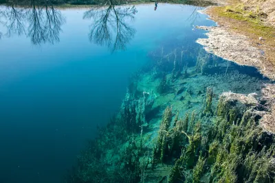 В Ростовской области Голубое озеро от хлама чистили дайверы