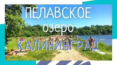 Гидротехник»: летом достали диван из озера в Калининграде - Новости  Калининграда - Новый Калининград.Ru