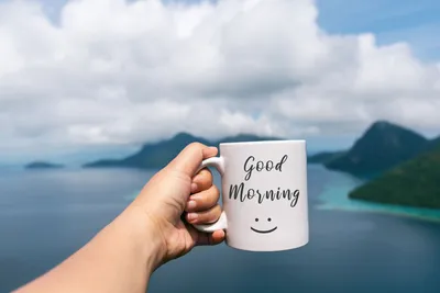 20 Best Good Morning Quotes - Best Short, Famous Good Morning Quotes