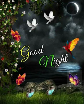 Good Night...Happy Dreamzz... | Good night funny, Good night friends,  Nighty night