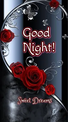 Good Night, Sleep Tight: 9781605375885: van den Berg, Esther: Books -  Amazon.com
