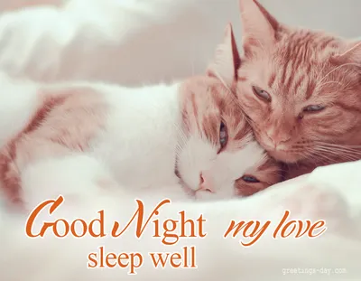 Sweet dreams my love | Sweet dreams my love, Sweet dream quotes, Good night  love you