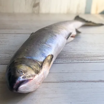 🐟 Горбуша дальневосточная замороженная (кг) - купить с доставкой в СПб |  Питер-Корюшка - интернет магазин