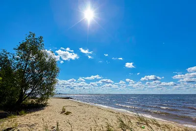 Нижегородское Горьковское море: базы, цены, как добраться