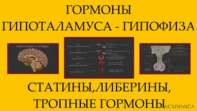 Как гормоны управляют нашей жизнью - Доктор - Телеканал Доктор