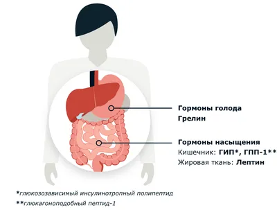 Половые гормоны — Википедия