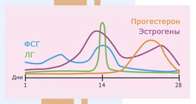 Гидрофильные гормоны / Биохимия