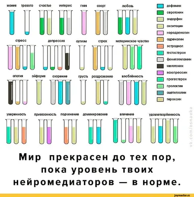 Гормоны щитовидной железы: виды, функции, проблемы - Медицинский центр  «ПУТЬ К ЗДОРОВЬЮ» в Колпино