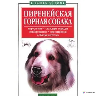 Пиренейская горная собака - DogZilla