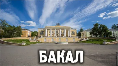 Бакал