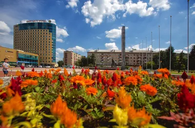 Балашиха вошла в топ‑100 городов Европы / Публикации / Городской округ  Балашиха