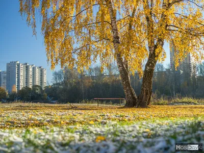 Москва | Фотографии | №38.461 (Осень в Балашихе)