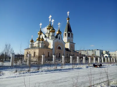 Город Якутск: климат, экология, районы, экономика, криминал и  достопримечательности | Не сидится