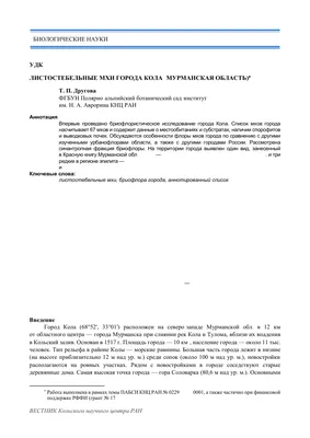 Губернатор посмотрел построенную Поморскую набережную в Коле — Мурманский  вестник - #139206