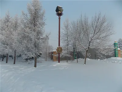 Коркино. Еманжелинск. Челябинская область. Карта города и его  окрестностей/складная. купить оптом в Екатеринбурге от 78 руб. Люмна