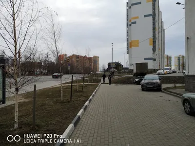 Город танцует в парках / Новости / Городской округ Мытищи