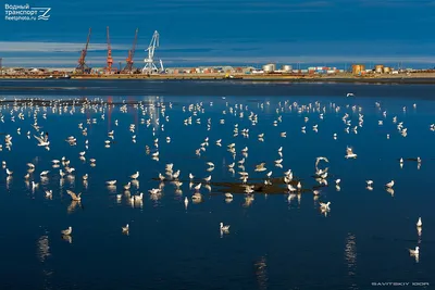 Фотозарисовки, Охотск — Фото — Водный транспорт