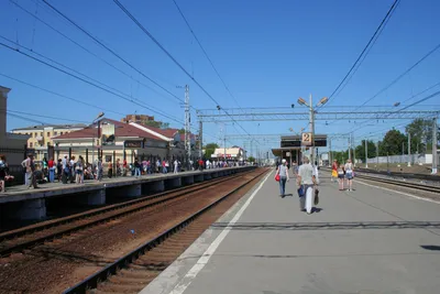 Выборы губернатора Московской области стартовали в г. о. Подольск