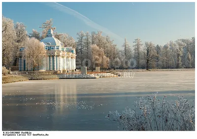 Как добраться в Екатерининский дворец из Санкт-Петербурга - 4 варианта