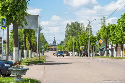 Руднянский район. Ищем красоты на северо-западной окраине Смоленской области