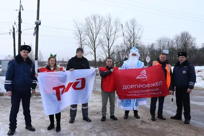 Медаль с гербом города Сафоново Смоленской области — купить в Челзнаке