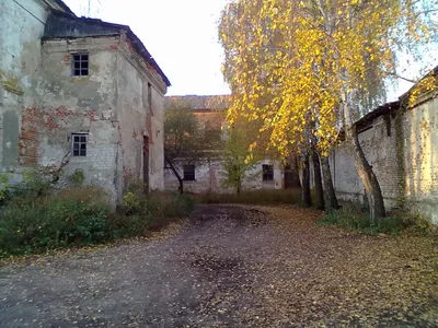 Собор Рождества Христова, Стародуб (Стародубский район и г. Стародуб),  фотография. архивная фотография Фото времён оккупации