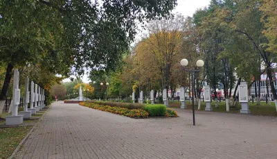 Брянск, Унеча и Новозыбков получили высокие оценки качества городской среды  • БрянскНОВОСТИ.RU