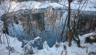 Отзыв о Экскурсия по г. Вяземский (Россия, Хабаровский край) | Очень  чудненько провели день