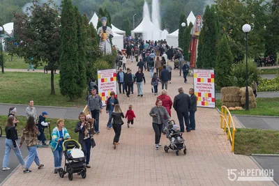 Город Владикавказ. Александровский проспект. Подробное описание экспоната,  аудиогид, интересные факты. Официальный сайт Artefact