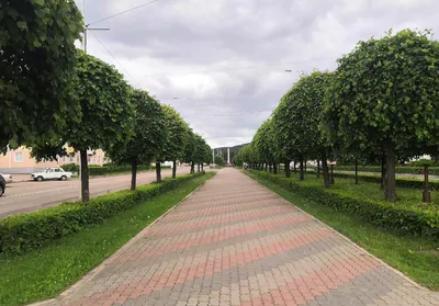 Зеленогорск, Красноярский Край. | Пикабу