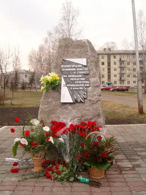 Открытие Городской новогодней елки «Новый год как в сказке» | Комитет по  делам культуры и молодежной политики города Зеленогорска