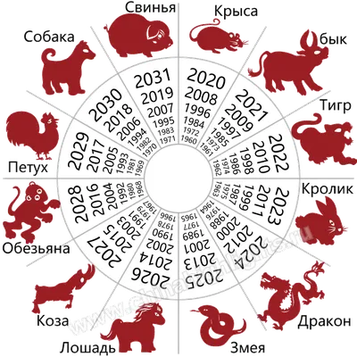 Точный гороскоп на сегодня для всех знаков зодиака, 15 января 2024 года