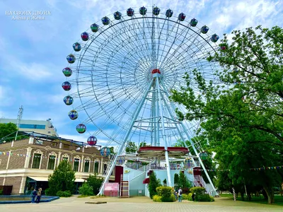 В парке «Солнечный остров» в Краснодаре снесут аттракционы - Кубанские  новости