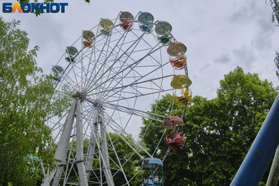 Самый уютный парк в Краснодаре - Городской сад. \"Кусочек Крыма\" в центре  города с историей, связанной с Южным берегом Крыма | НА СВОИХ ДВОИХ - Алёна  И Женя | Дзен