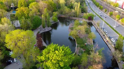 За теплой погодой в Краснодар