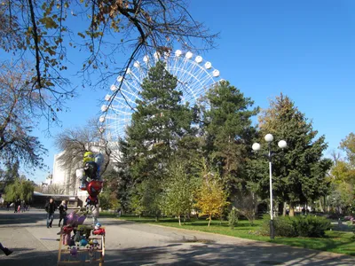 Самый уютный парк в Краснодаре - Городской сад. \"Кусочек Крыма\" в центре  города с историей, связанной с Южным берегом Крыма | НА СВОИХ ДВОИХ - Алёна  И Женя | Дзен