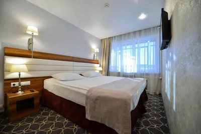 Отель «Чайка» Алушта (Крым) — цены 2024 год • официальный сайт «Нафтуся-Тур»
