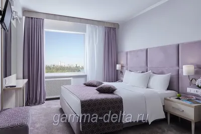 Standard Double Room - Izmailovo Hotel Gamma-Delta Moscow, Russia