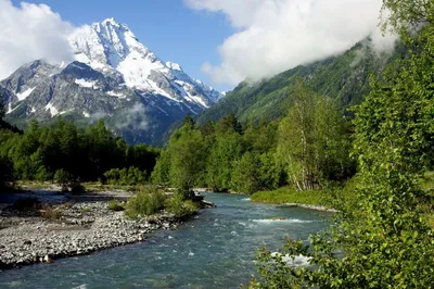 ЭНЕРГЕТИК / ГРАНД ОТЕЛЬ АБХАЗИЯ (Гагра) - отзывы, фото и сравнение цен -  Tripadvisor