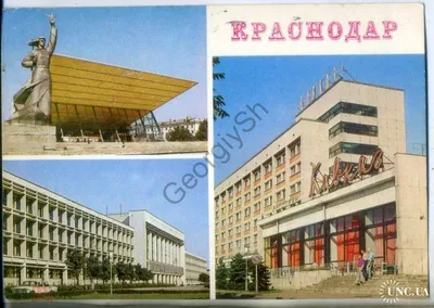 Кавказ - Краснодар, ул. Красная, 174: цены 2024, фото и отзывы