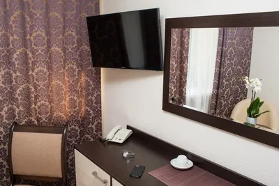 Какой отель выбрать во Владивостоке: преимущества Novotel Vladivostok,  расположение, номера, гостиница в центре города, люкс - KP.RU