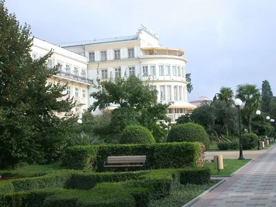 Гостиница «Приморская» в Сочи в 2026 году станет международным отелем -  KP.RU