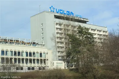 Официальные цены на номера гостиницы «Волга» Кострома