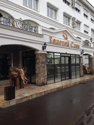 Туры в Hotel Золотой Слон 1* Оренбург Россия - отзывы, отели от Пегас  Туристик