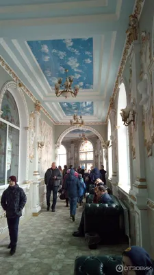 ГОСТИНИЦА ГОСТИНЫЙ ДОМ (Брянск) - отзывы, фото и сравнение цен - Tripadvisor