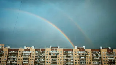 Град Петров | Санкт-Петербург и Ленинградская область