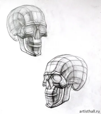 Художественная школа академической живописи и рисунка Беланова С. В. -  Академический рисунок черепа , работа нашего ученика . #череп  #пластическаяанатомия #рисунокчерепа #академическийрисунок #обучениерисунку  #курсырисования #подольскшкола ...