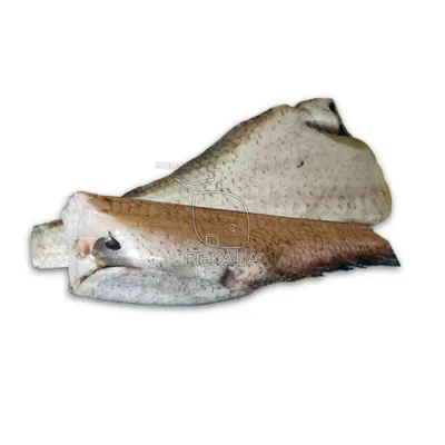 Гренадер (рыба)