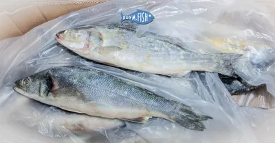 Рыба гренадёр Вичи 700г Литва ❤️ доставка на дом от магазина Zakaz.ua