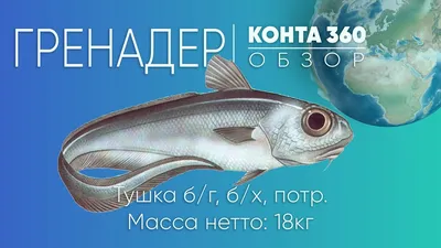 Сибас с/м н/р 300-400 - Крым-Рыба купить оптом со склада в Крыму - оптовые  цены
